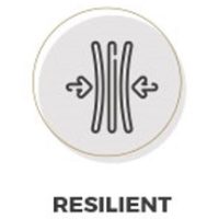 4-resilient